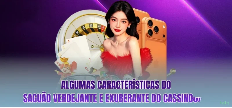 tqtq Plataforma